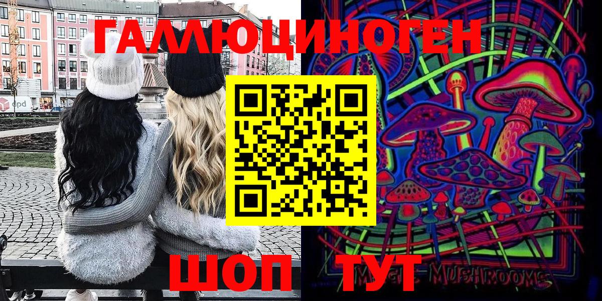 Сафоново  Псилоцибиновые грибы Cubensis  Вход с VPN 