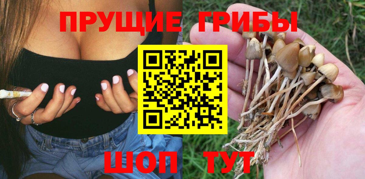 Псилоцибиновые грибы мухоморы Сафоново